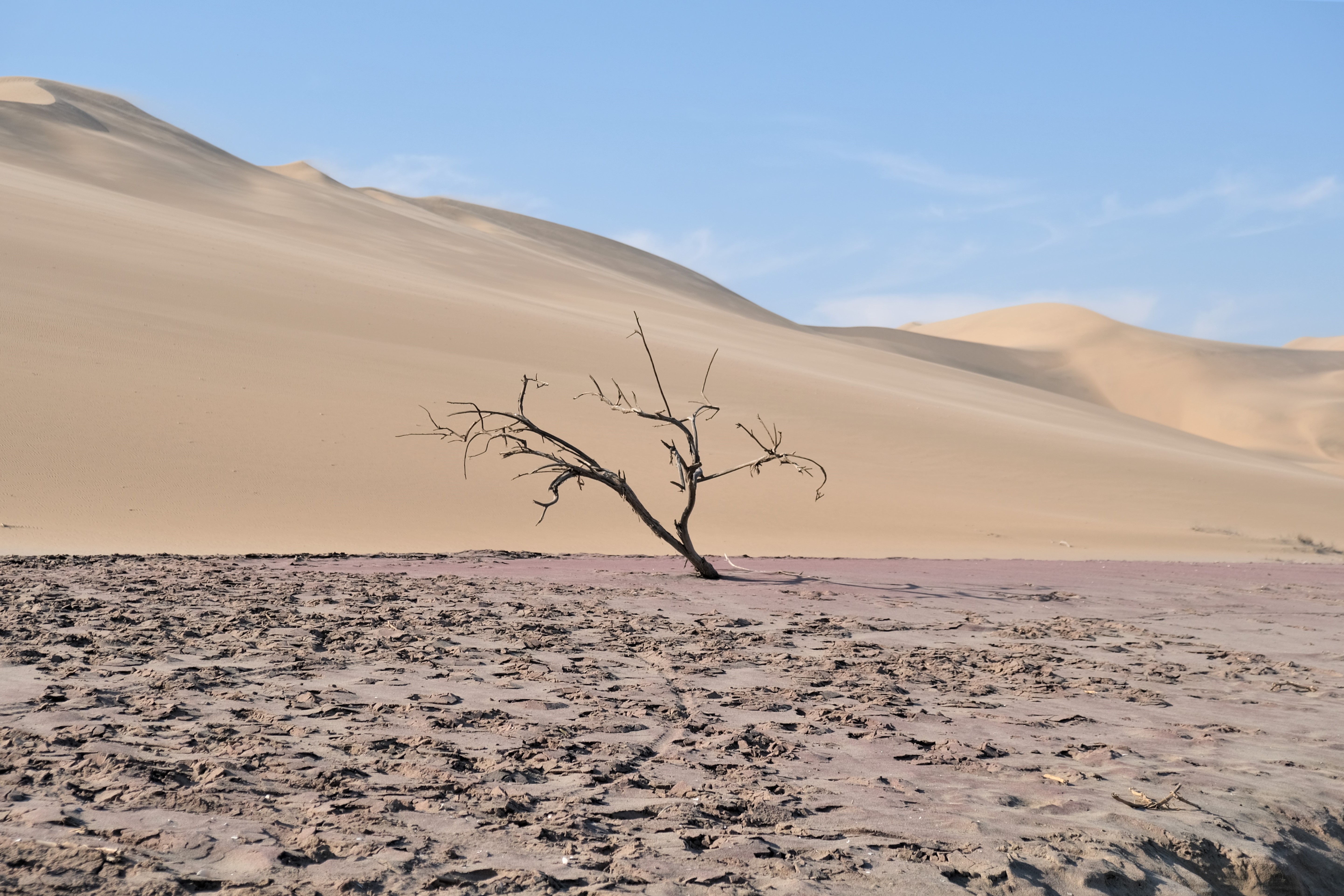 now_just_travel_namibia_sandwich_harbour_swakopmund